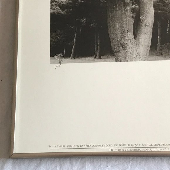 Douglas Busch Original Phograph Signed Negative Collotype Print - Picture 8 of 10